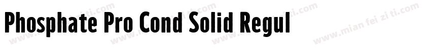 Phosphate Pro Cond Solid Regular字体转换